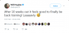 Screenshot-2018-2-14 Will Hughes on Twitter .png