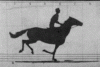 220px-The_Horse_in_Motion-anim.gif